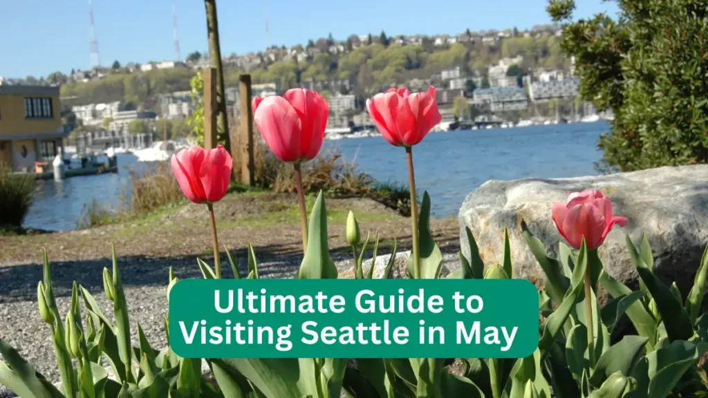 Ultimate Guide to Visiting Seattle in May 2025