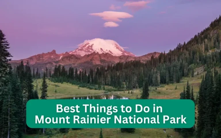 Best Things to Do in Mount Rainier National Park