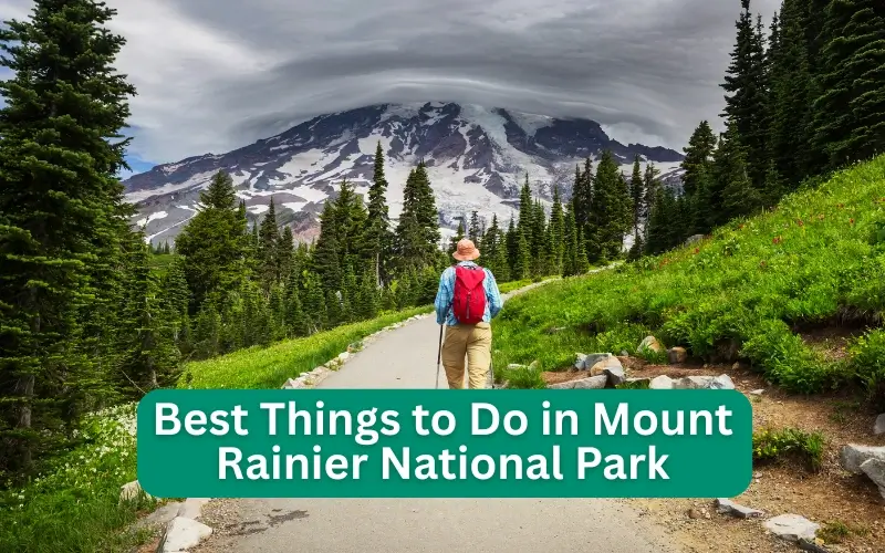 Best Things to Do in Mount Rainier National Park
