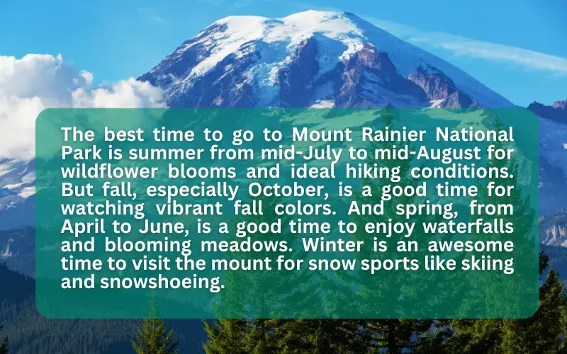 Best Time to Visit Mount Rainier National Park (Each Season)