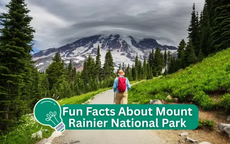 Cool Fun Facts About Mount Rainier National Park