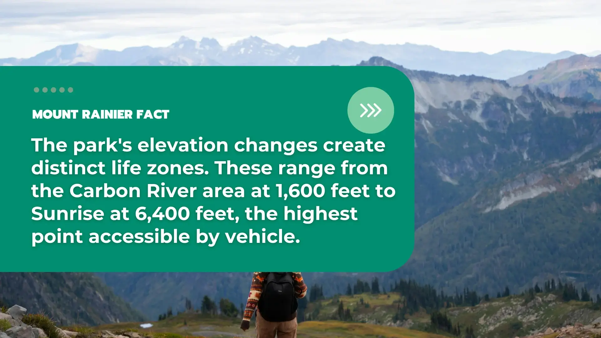 Facts About Mount Rainier National Park 10