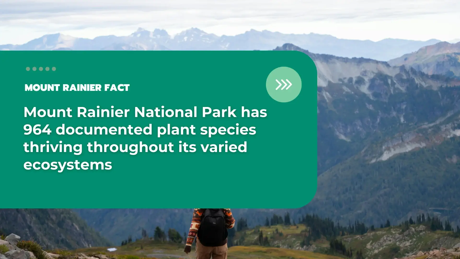 Facts About Mount Rainier National Park 11