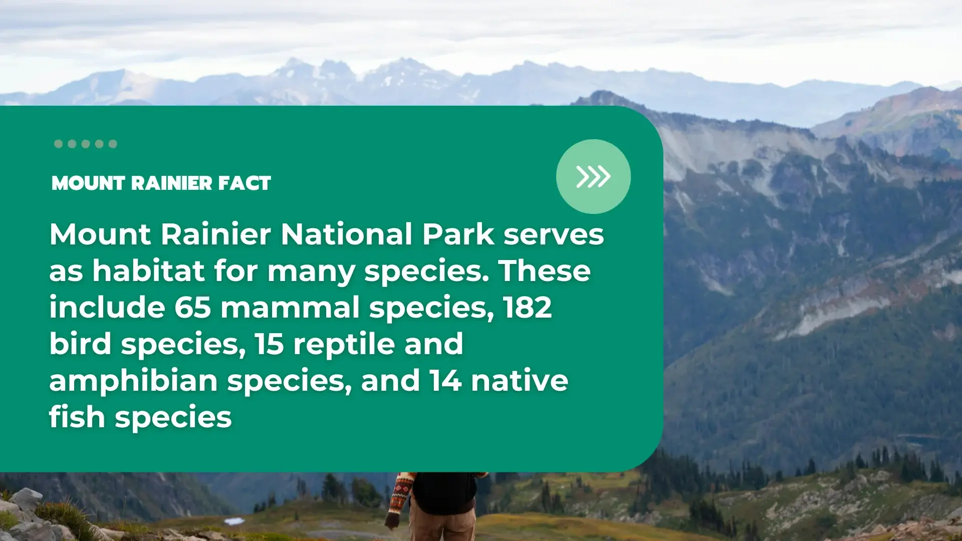 Facts About Mount Rainier National Park 14