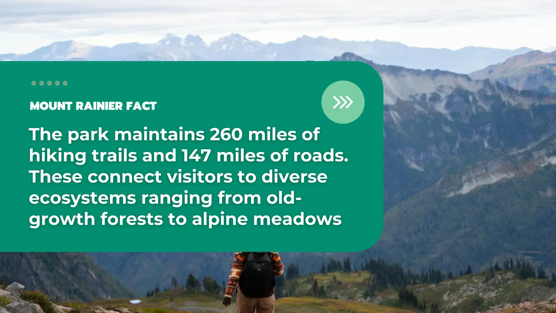 Facts About Mount Rainier National Park 7