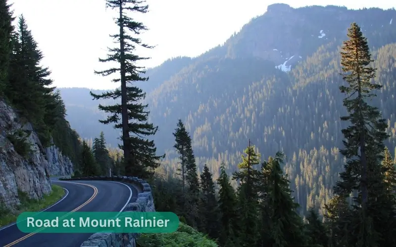 Roads at Mount Rainier National Park 1