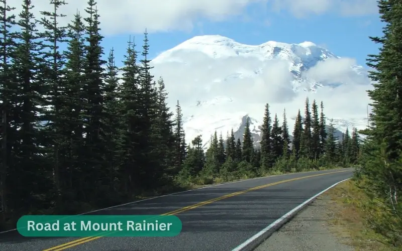 Roads at Mount Rainier National Park 2