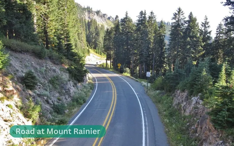 Roads at Mount Rainier National Park 3