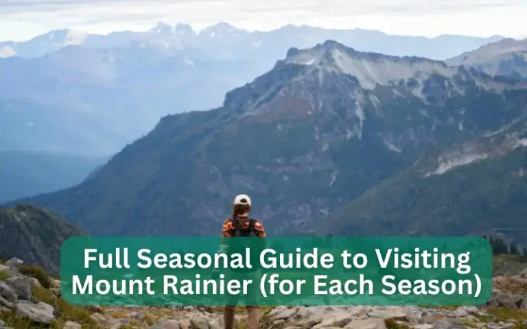 Seasonal Guide: Best Time to Visit Mount Rainier National Park (Each Season)