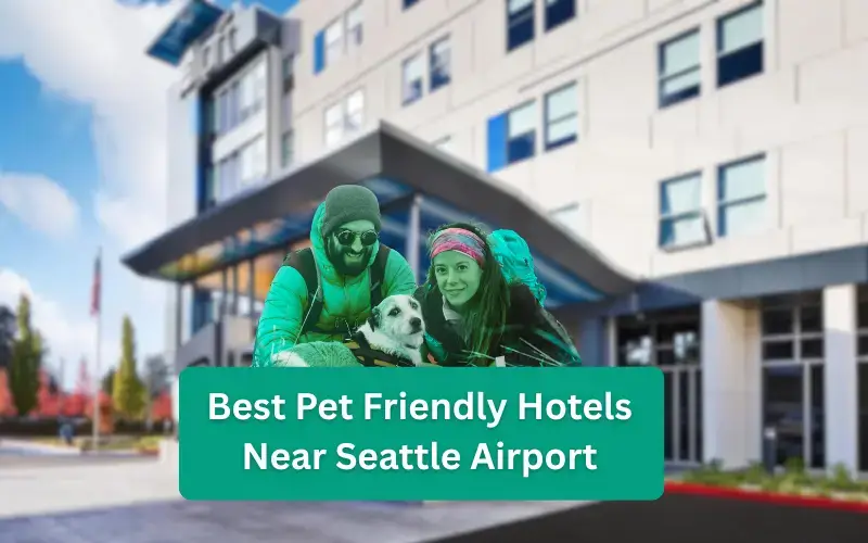 Best Pet Friendly Hotels Near Seattle Airport