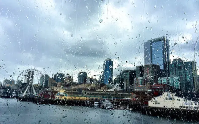 Rain in Seattle