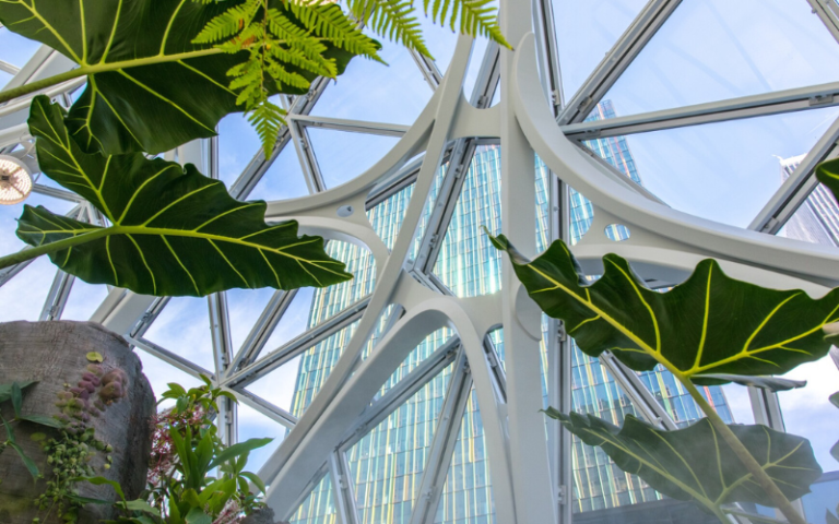 Amazon Spheres in Seattle