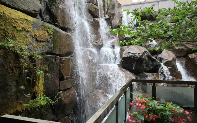 Waterfall Garden Park Seattle