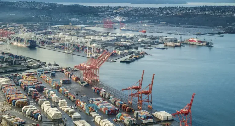 Seattle Cruise Port (Featured Image for Best Hotels Near Seattle Cruise Port for Pier 66 and 91)