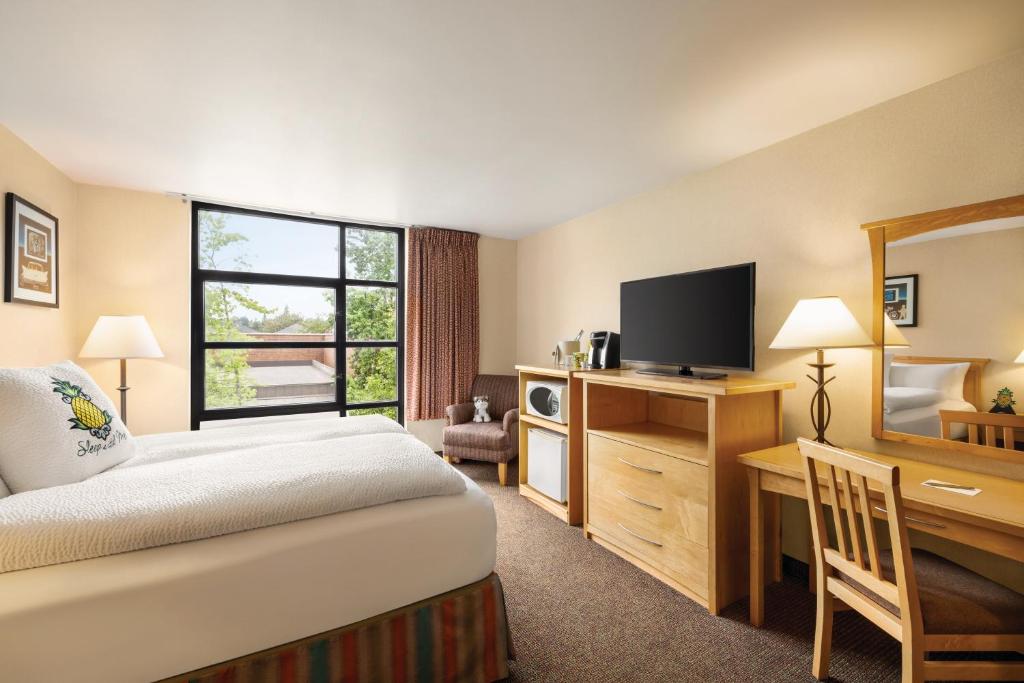 University Inn, A Staypineapple Hotel Room 1