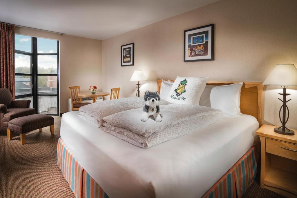 University Inn, A Staypineapple Hotel Room