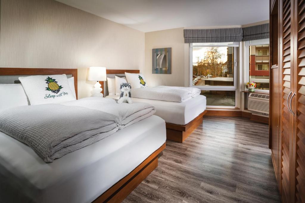 Watertown Hotel, A Staypineapple Hotel Room